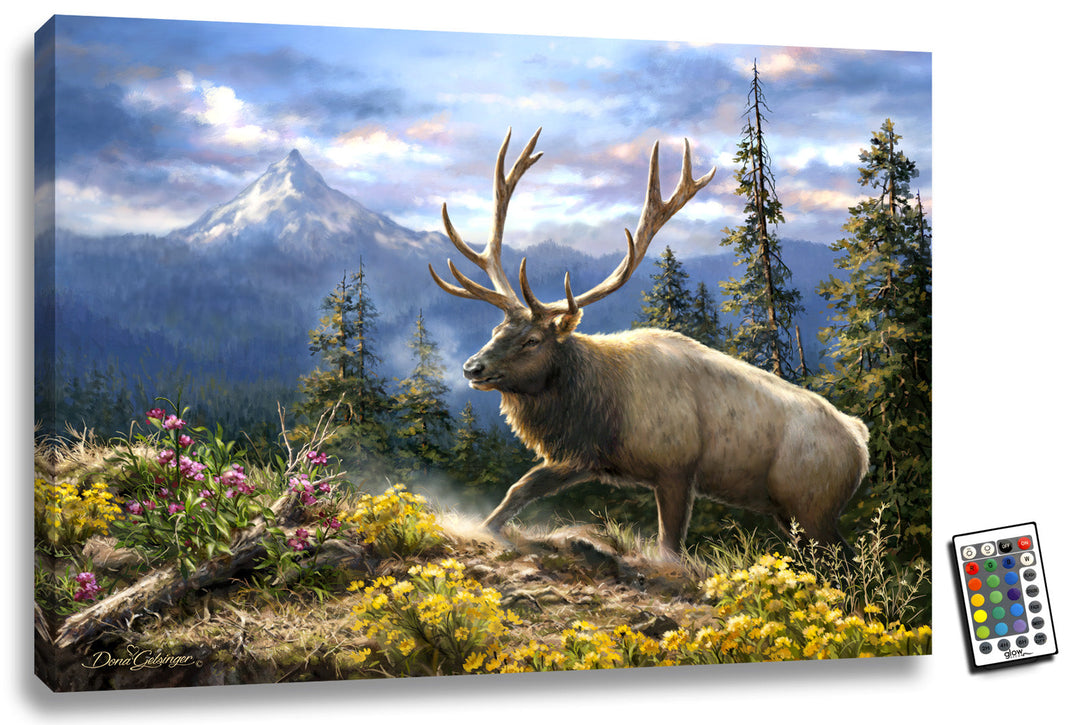 Siskiyou Bluff 18x24 Fully Illuminated LED Wall Art, handcrafted Christmas gift, Grande Place, Lancaster County PA