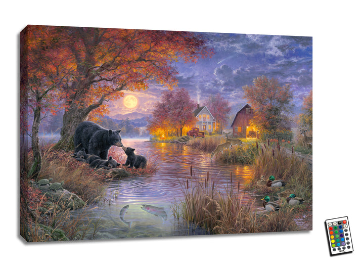 Black Bear Farms 18x24 Fully Illuminated LED Wall Art, handcrafted Christmas gift, Grande Place, Lancaster County PA