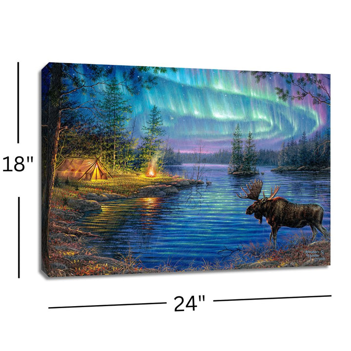 Northern Night 18x24 Fully Illuminated LED Wall Art