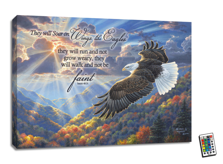 Freedom with Scripture 18x24 Fully Illuminated LED Wall Art, handcrafted Christmas gift, Grande Place, Lancaster County PA
