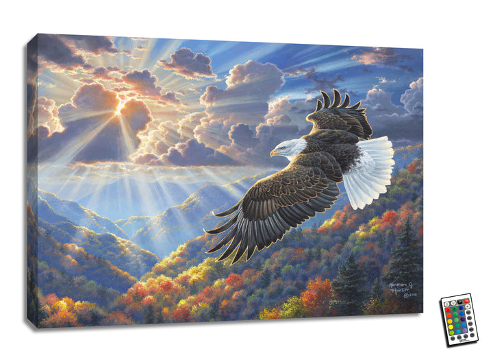 Freedom 18x24 Fully Illuminated LED Wall Art, handcrafted Christmas gift, Grande Place, Lancaster County PA
