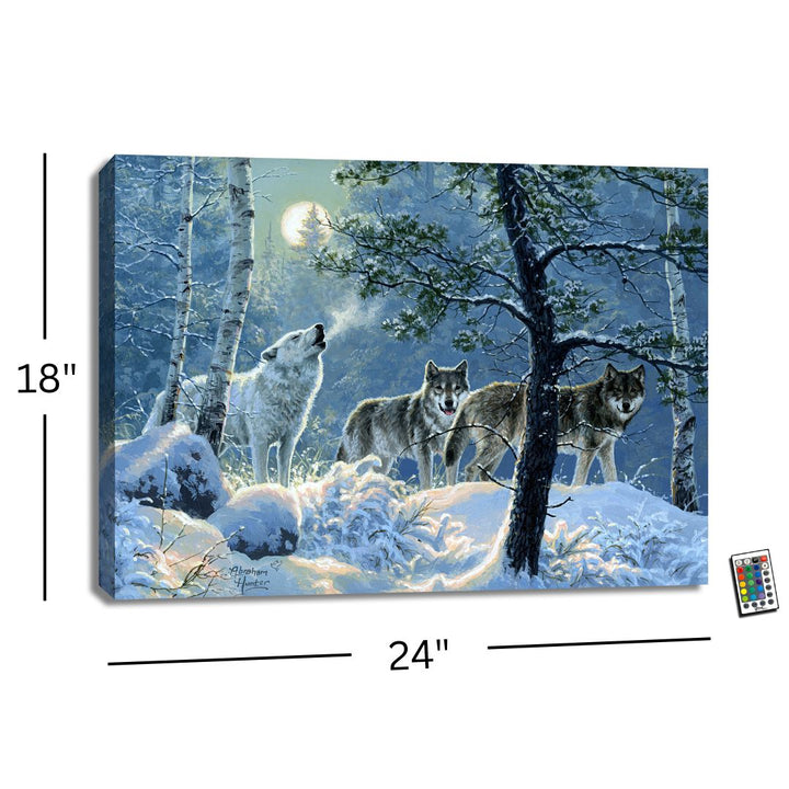 Under the Moonlight 18x24 Fully Illuminated LED Wall Art