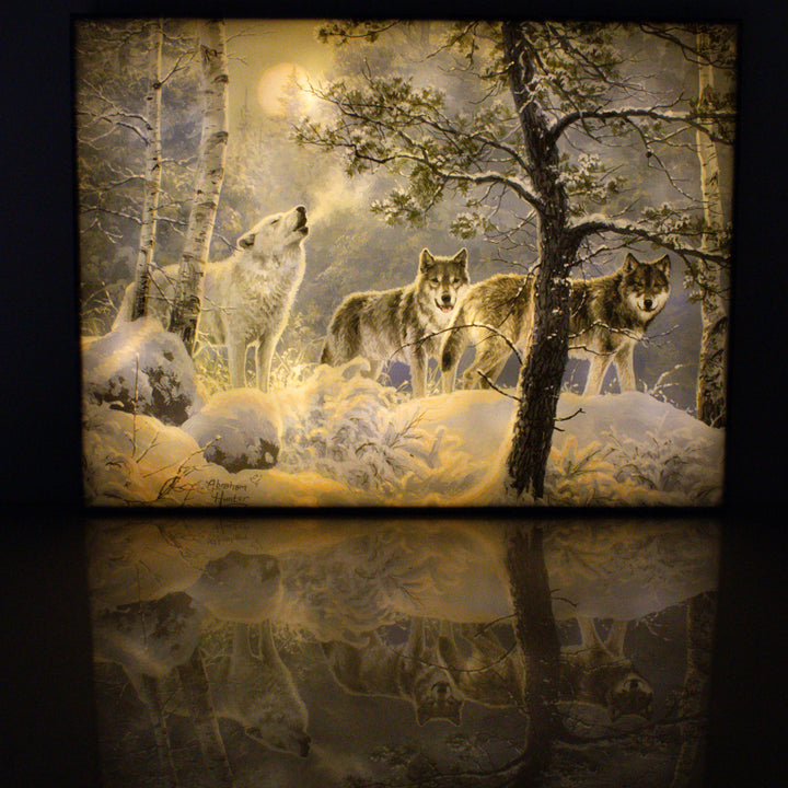 Under the Moonlight 18x24 Fully Illuminated LED Wall Art