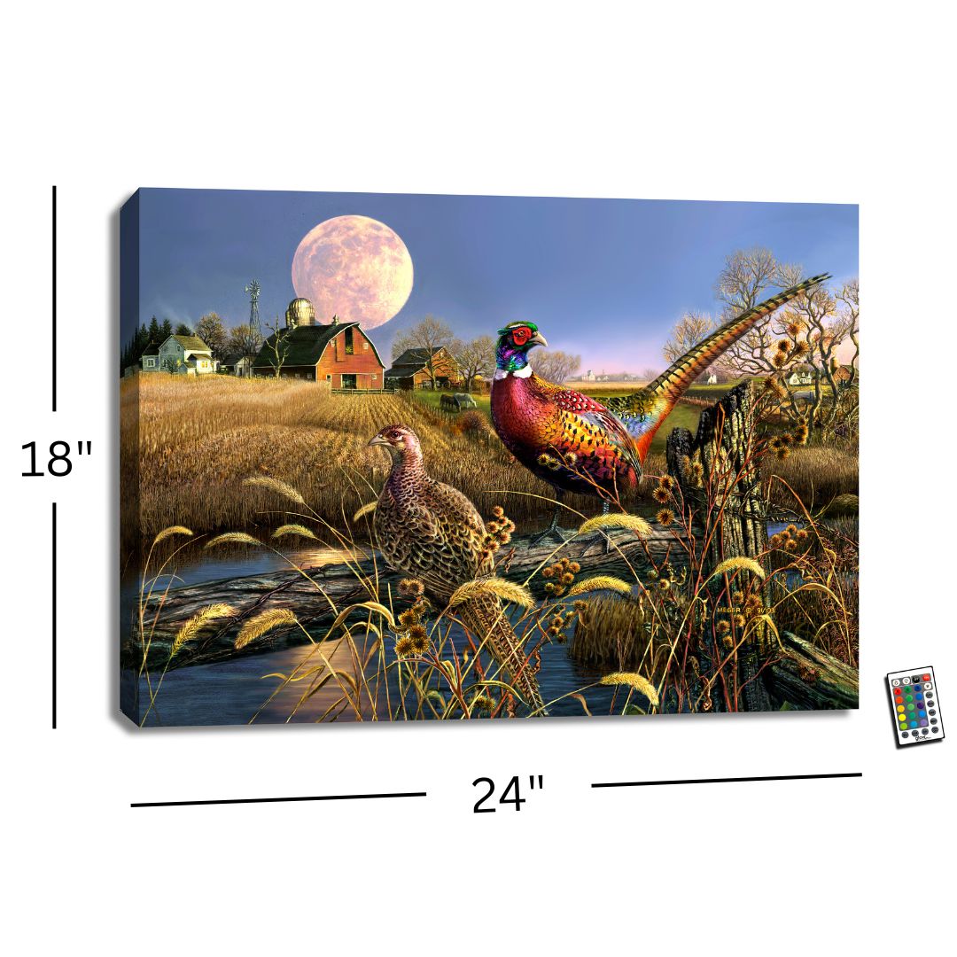 Harvest Moon 18x24 Fully Illuminated LED Wall Art