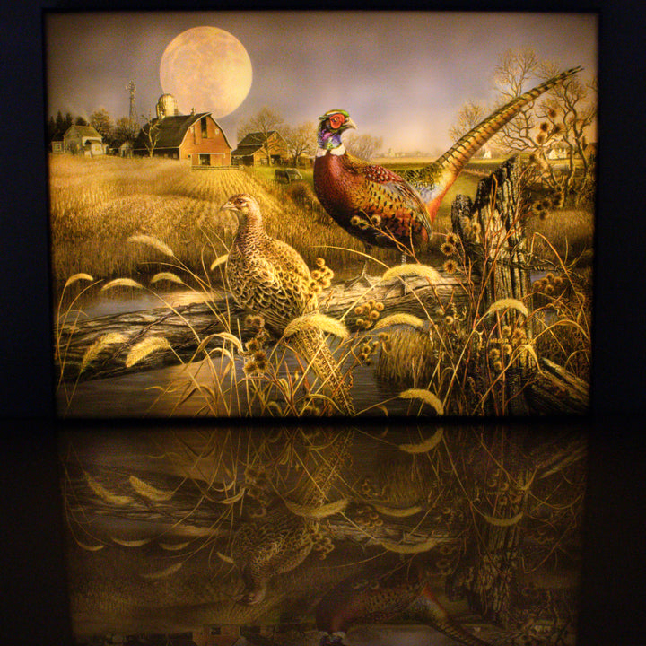 Harvest Moon 18x24 Fully Illuminated LED Wall Art