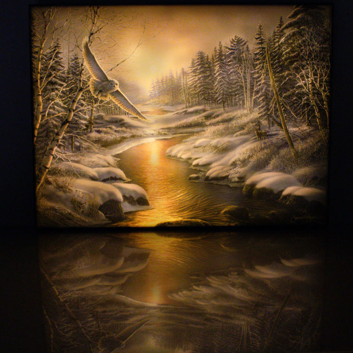 Solstice Snowy Owl 18x24 Fully Illuminated LED Wall Art