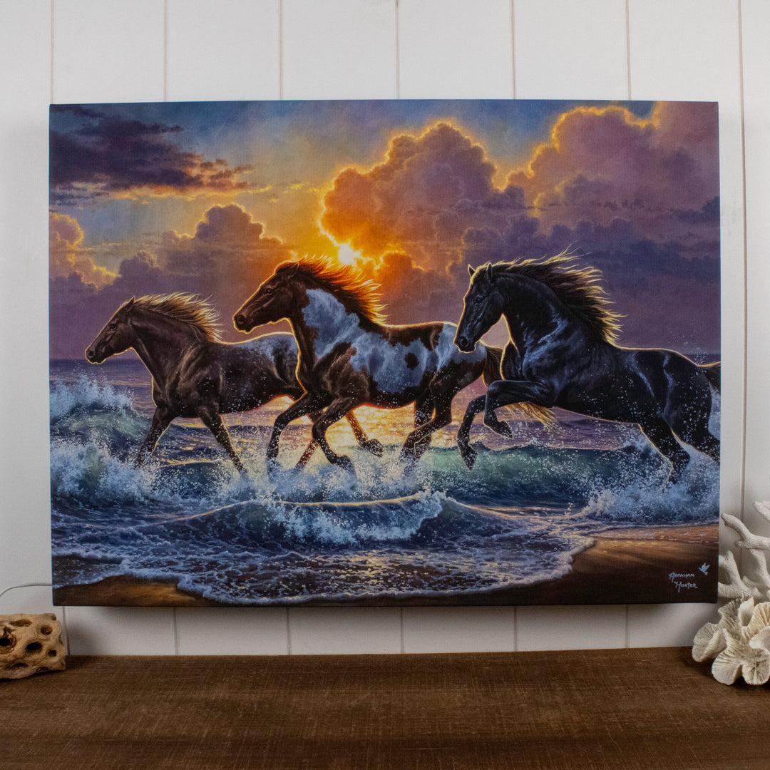 Against the Wind 18x24 Fully Illuminated LED Wall Art