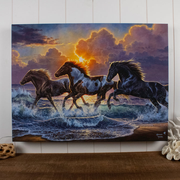 Against the Wind 18x24 Fully Illuminated LED Wall Art