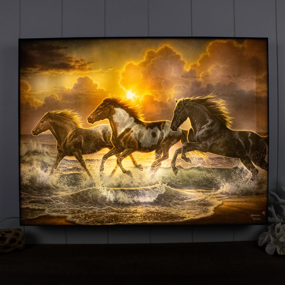 Against the Wind 18x24 Fully Illuminated LED Wall Art