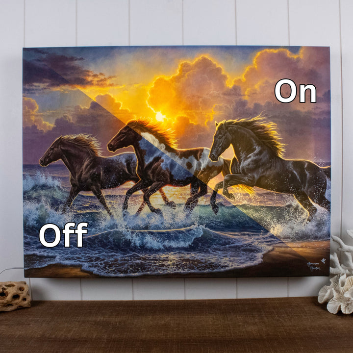 Against the Wind 18x24 Fully Illuminated LED Wall Art