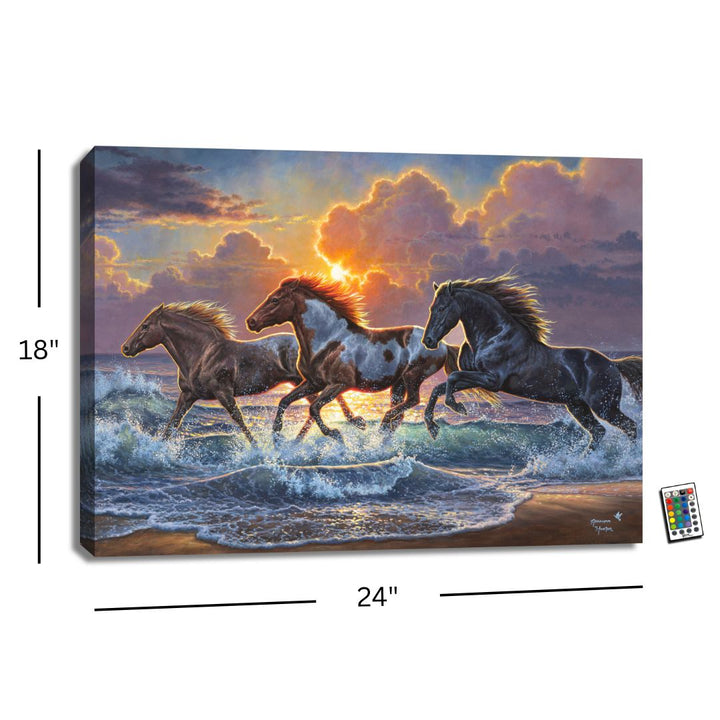 Against the Wind 18x24 Fully Illuminated LED Wall Art