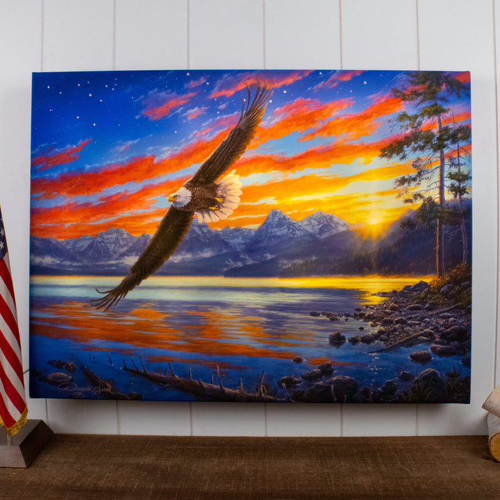 Freedom Flight 18x24 Fully Illuminated LED Wall Art, handcrafted Christmas gift, Grande Place, Lancaster County PA