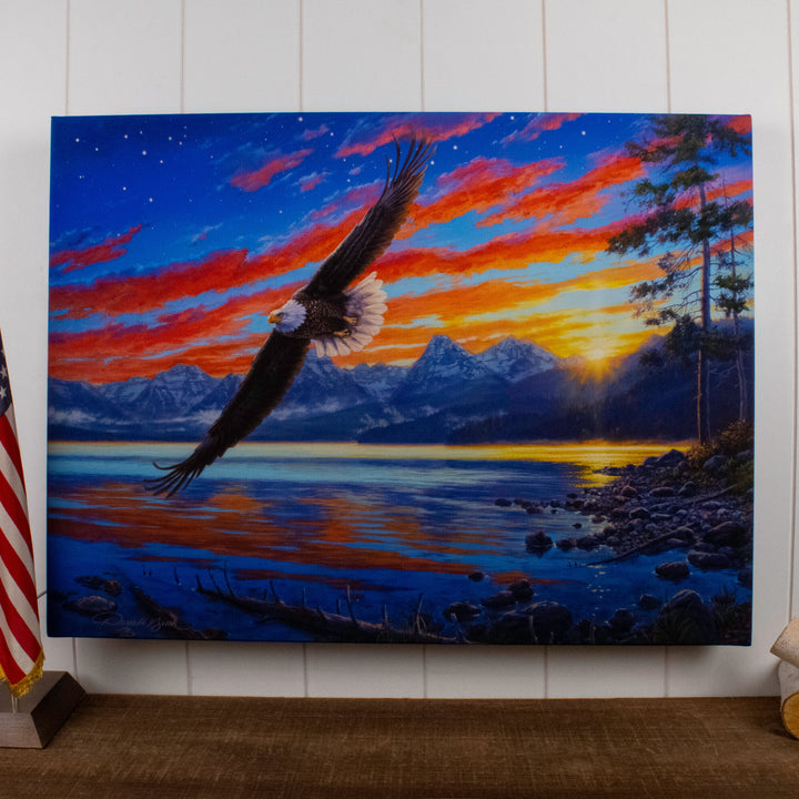 Freedom Flight 18x24 Fully Illuminated LED Wall Art