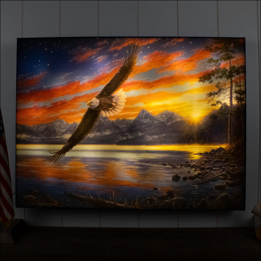 Freedom Flight 18x24 Fully Illuminated LED Wall Art