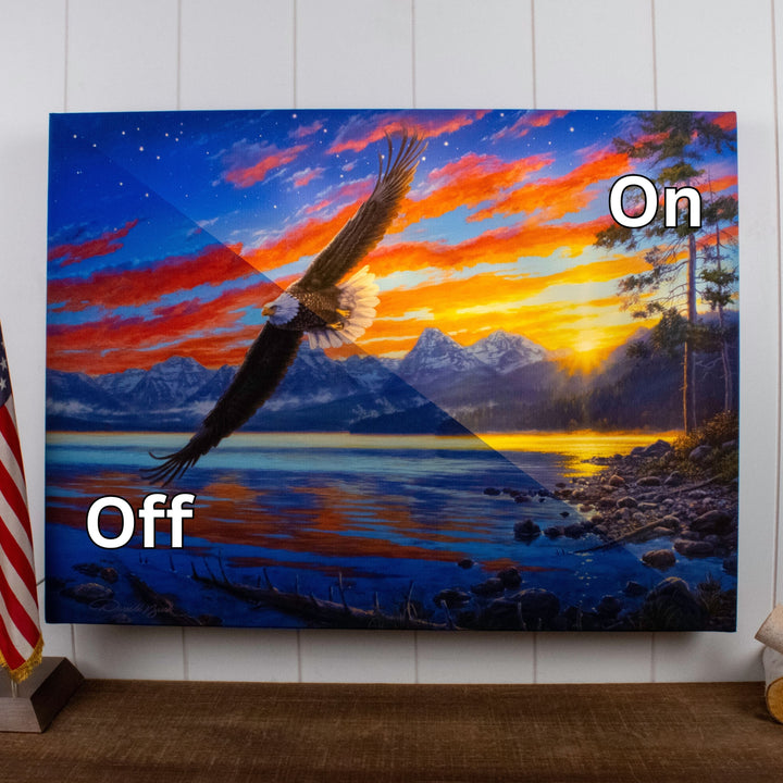 Freedom Flight 18x24 Fully Illuminated LED Wall Art
