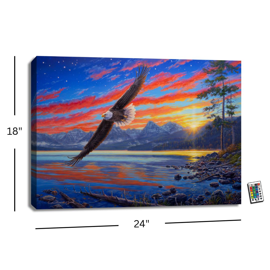 Freedom Flight 18x24 Fully Illuminated LED Wall Art
