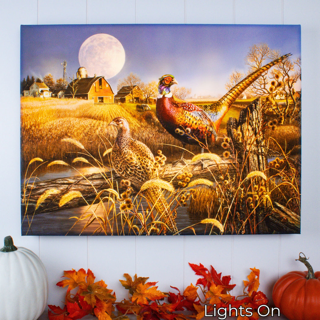 Harvest Moon 18x24 Fully Illuminated LED Wall Art