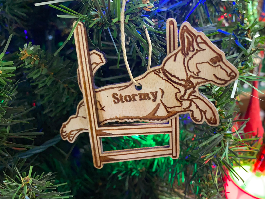 Dog Jumping - Agility, handcrafted Christmas gift, Grande Place, Lancaster County PA