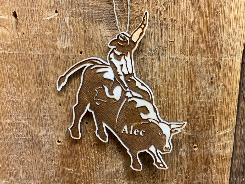 Bull Rider - Rodeo 1