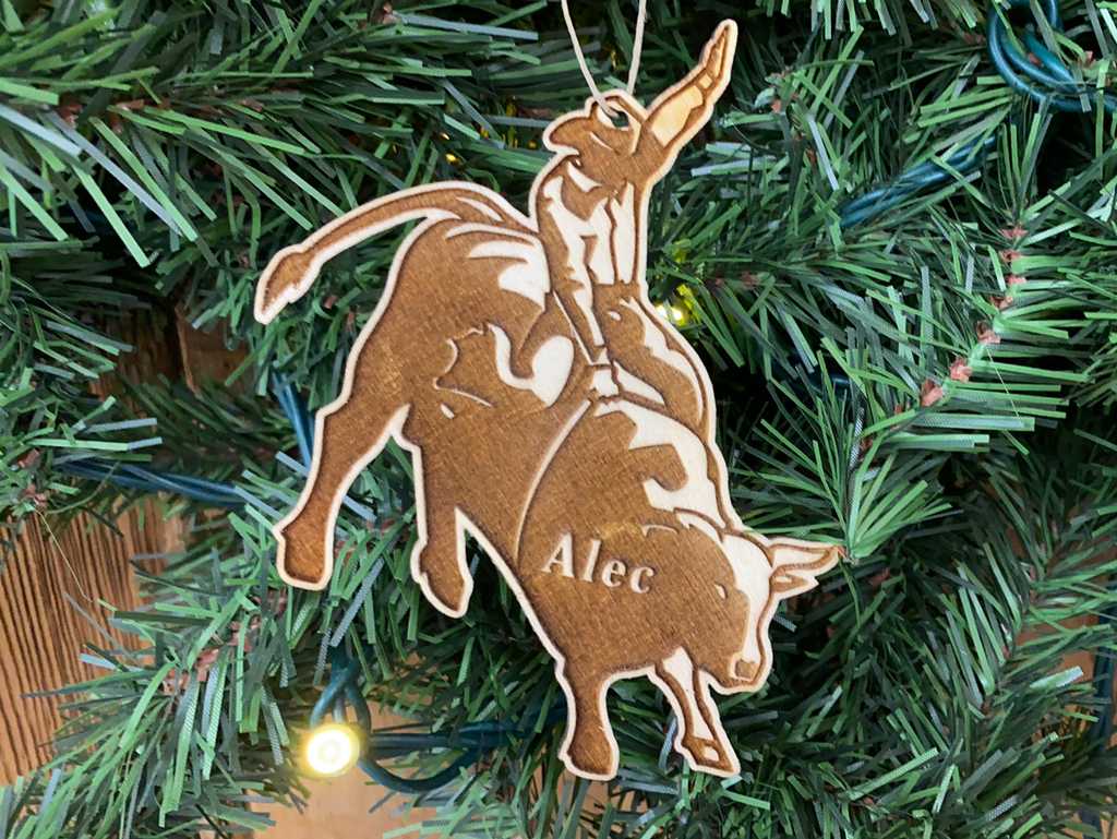 Bull Rider - Rodeo 1